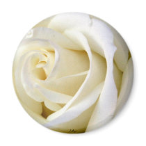 Rose White Fridge Magnets