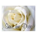 Rose White, Save the Date Postcard