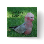 Roseate Cockatoo Don't Be A Galah Button