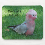 Roseate Cockatoo Don't Be A Galah Mousepad