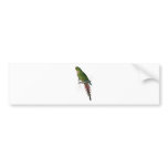 Roseate Parrakeet by Edward Lear bumper stickers