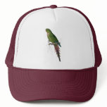 Roseate Parrakeet by Edward Lear hats