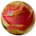 Rosebud Button