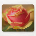 Rosebud Mousepad