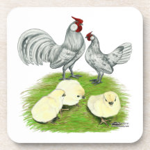 Rosecomb Bantams and Chicks Drink Coaster