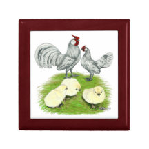Rosecomb Bantams and Chicks Gift Box