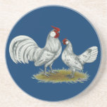 Rosecomb Splash Bantams Beverage Coasters