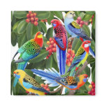 Rosella Parrots in Fig Tree Magnet
