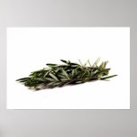 Rosemary (9692) posters