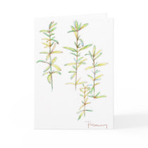Rosemary Herb Botanical Drawing Blank Note Card