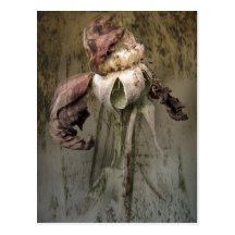 Roses and Rust No 2 Postcard