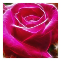 Roses Are Neon Pink Artistic & Unique