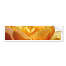 ROSES Big Oragne Rose Flowers 7 Cards Gifts Mugs