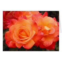 Roses Cannon Beach cards