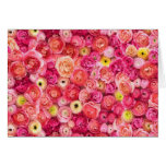 Roses for any occasion cards
