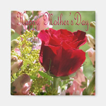 Roses for Mother/ Happy Mother's Day Fridge Magnets