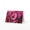 Roses for Mother's Day cards