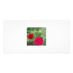 Rose's Garden 1 Customized Photo Card