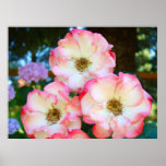Roses Garden art prints Healing Art Gifts Pink