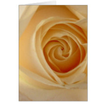 Roses Greeting Cards