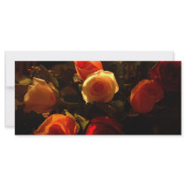 Roses I