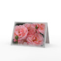 Roses in bloom cards
