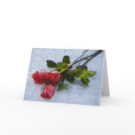 Roses in the Snow