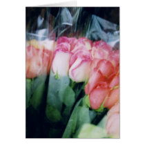 Roses - NYC Flower Shop Greeting Cards