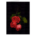 Roses on Black