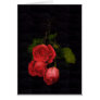 Roses on Black
