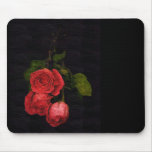 Roses on Black
