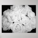 Roses on Canvas posters
