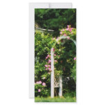 Roses On Trellis rack cards
