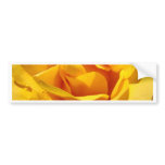 ROSES Orange Rose Flowers 1 Cards Gifts Mugs bumper stickers