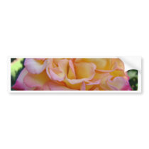 ROSES Pink Yellow Rose Flowers 2 Cards Gifts Mugs
