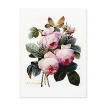 Roses Postcard