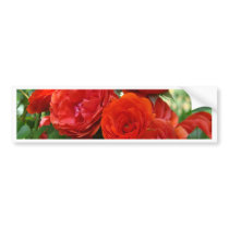 ROSES Red Rose Flowers 2 Cards Gifts Mugs