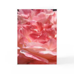 ROSES ROSE FLOWERS 3 GREETING CARDS NOTE CARD