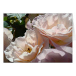 ROSES ROSE FLOWERS GREETING CARDS NOTE CARD