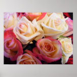 Roses roses roses posters
