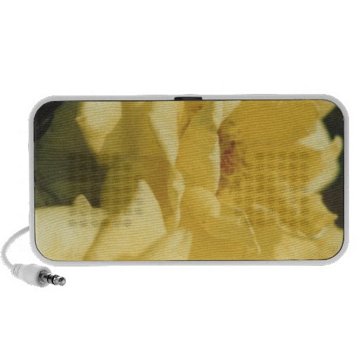 Roses Speaker