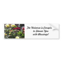 Roses Universe Conspiring Bumper Sticker