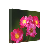 Roses  Wrapped Canvas Canvas Print
