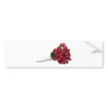 RosesInPapertowel072310 Bumper Stickers
