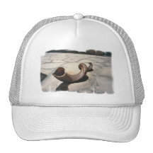 Rosh Hashanah  Baseball Hat