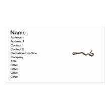 Rosy Boa Business Cards
