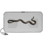 Rosy Boa Doodle by OrigAudio™ iPhone Speakers