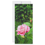 Rosy Greeting Full Color Rack Card