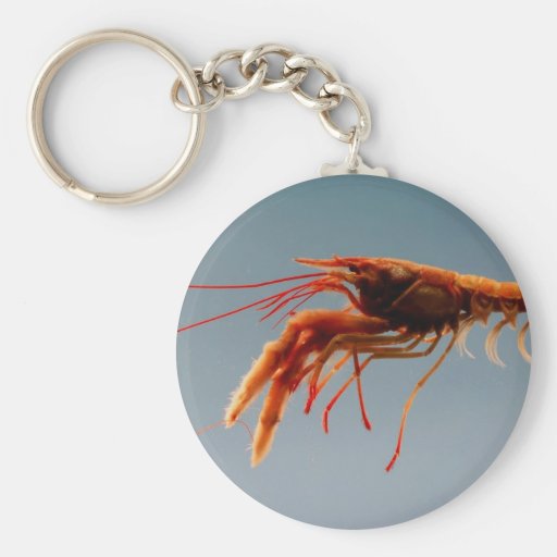 Rosy Lobsterette Keychains