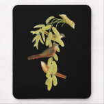 Rosy Minivet mousepads